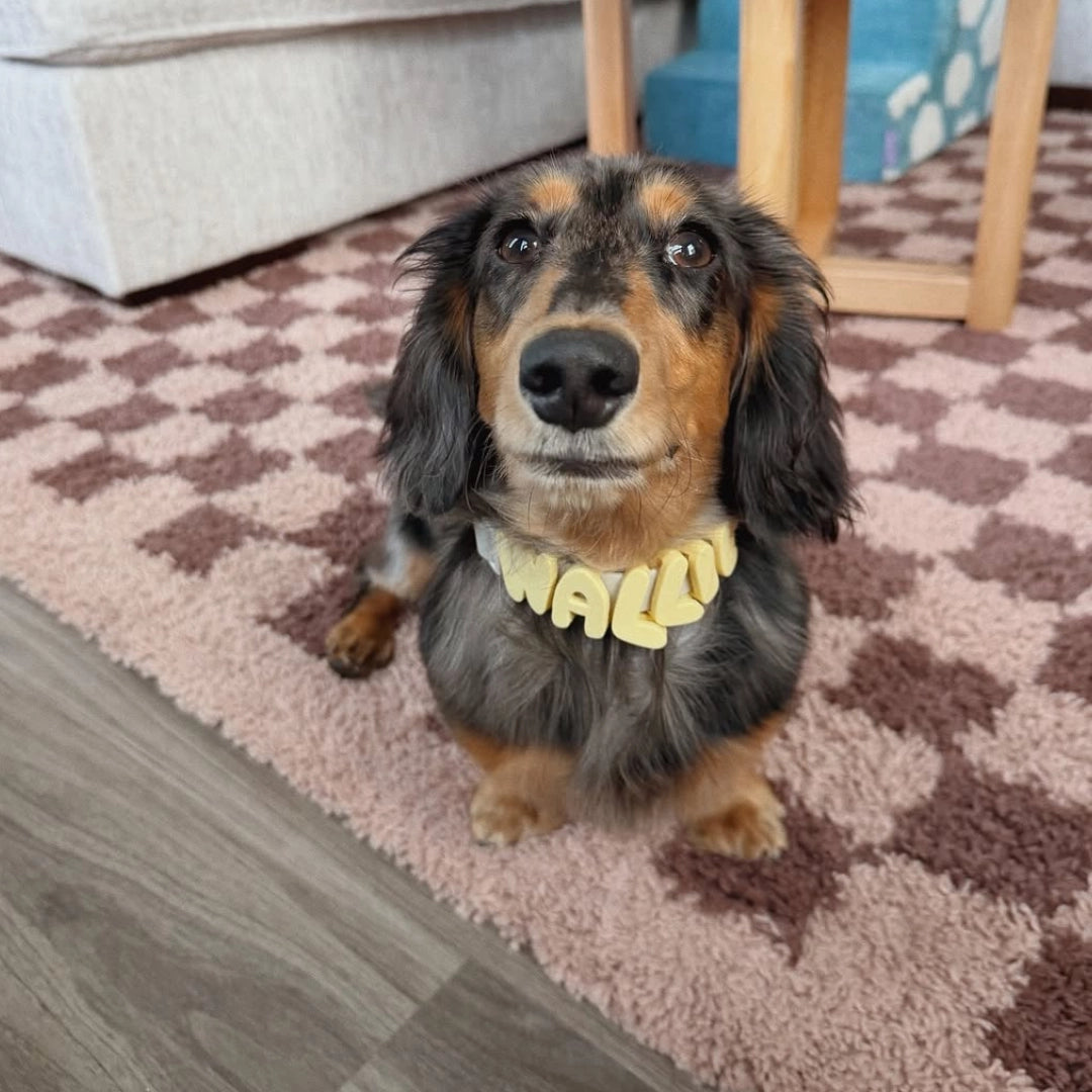 Butter Yellow Collar Pendant
