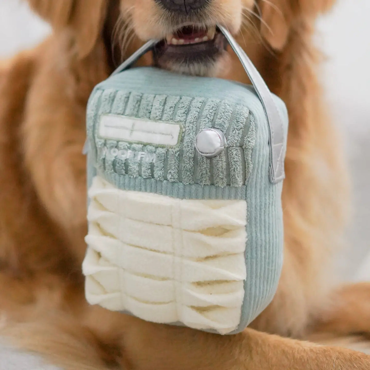 Snuffle Scout Enrichment Toy