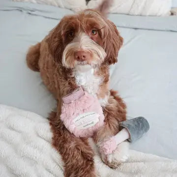 Polish Paws Enrichment Toy
