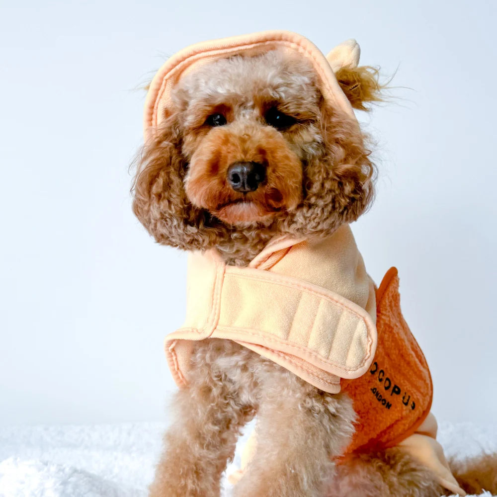 Rory the Lion Drying Robe