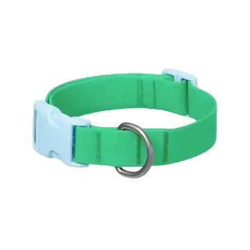 Fendi - Green Silicone Collar