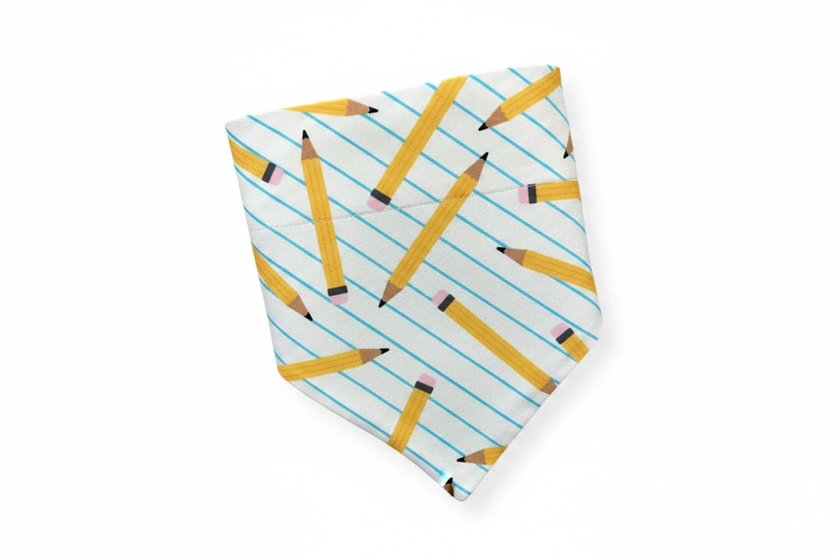 Pencil’s and Paper Bandana