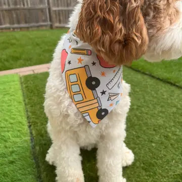 Back to School Bandana