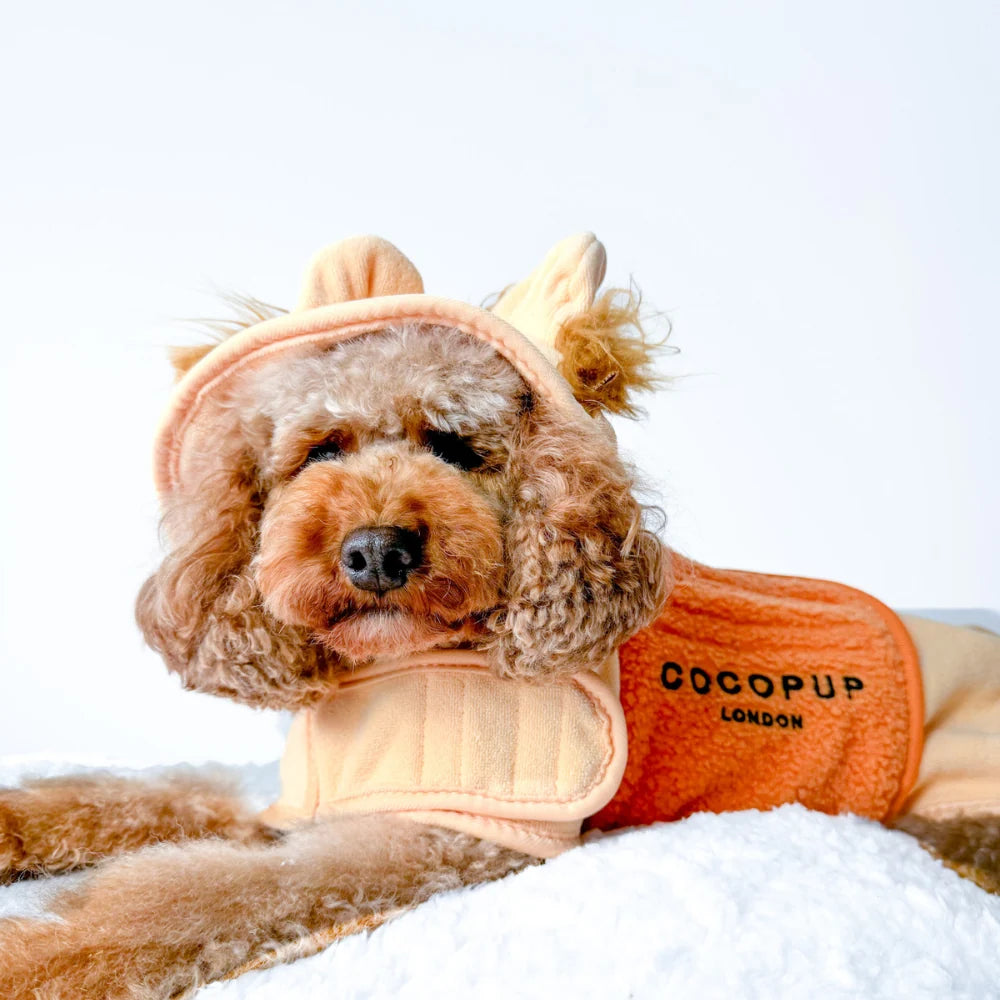 Rory the Lion Drying Robe