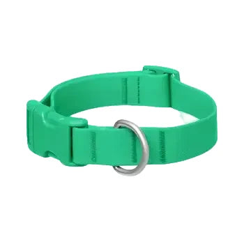 Green Silicone Collar