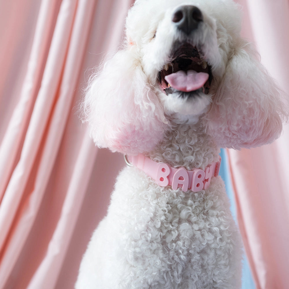 Baby Pink Silicone Collar