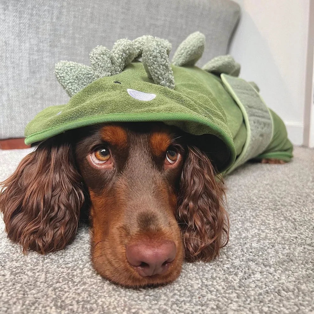 Dinopup Drying Robe