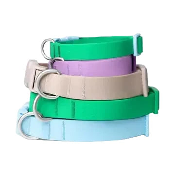 Fendi - Green Silicone Collar