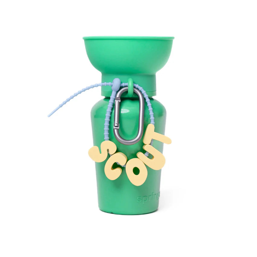 Charm Strap