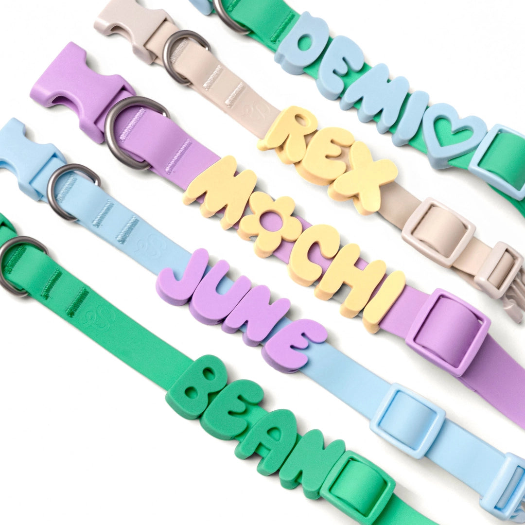 Fendi’s Blue Silicone Collar