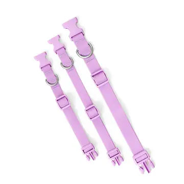 Lilac Silicone Collar
