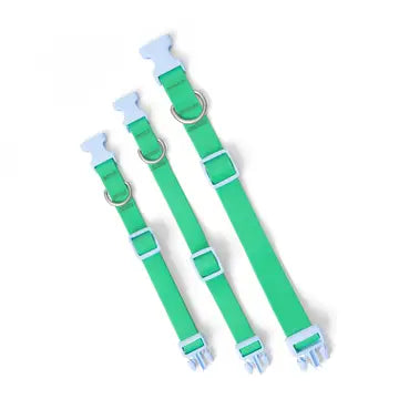 Fendi - Green Silicone Collar