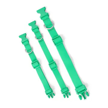 Green Silicone Collar