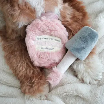 Polish Paws Enrichment Toy